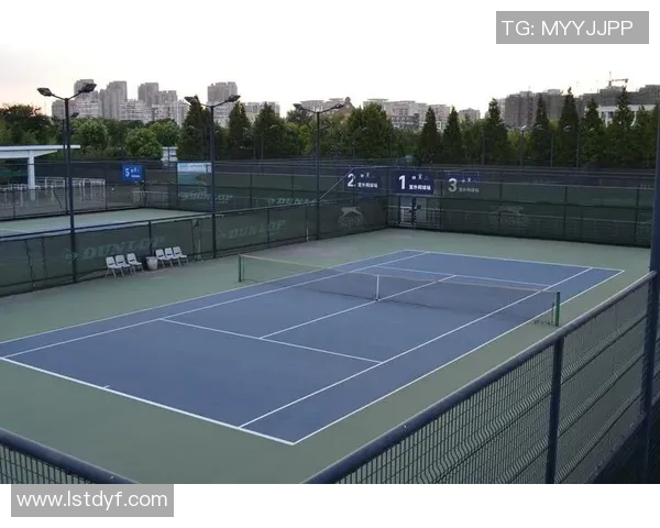 南京网球队状态分析：聚焦训练成果与比赛表现的全面探讨