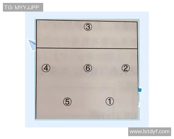 上海排球队意识探讨与战术提升的深度分析与思考